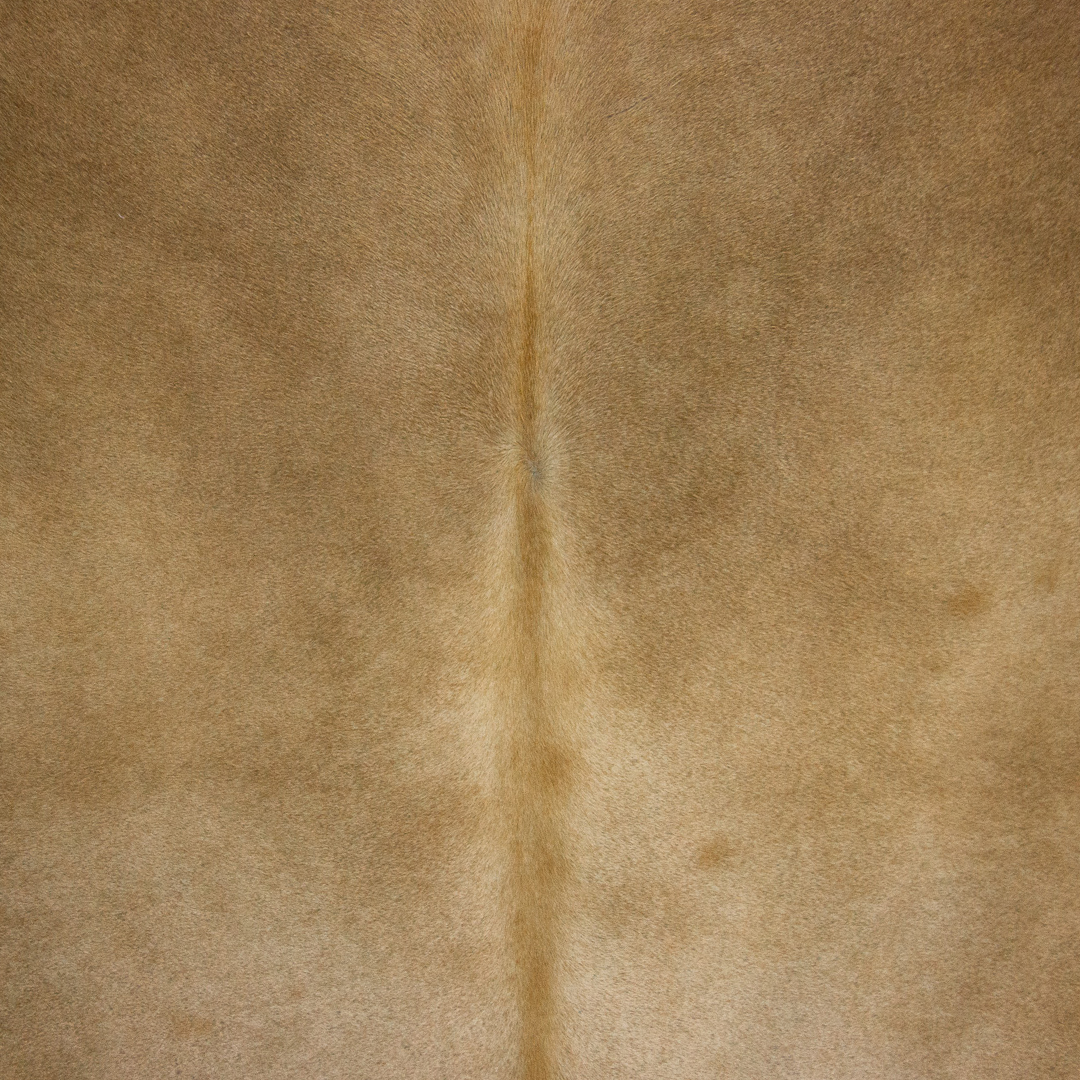 Bege Branco-28