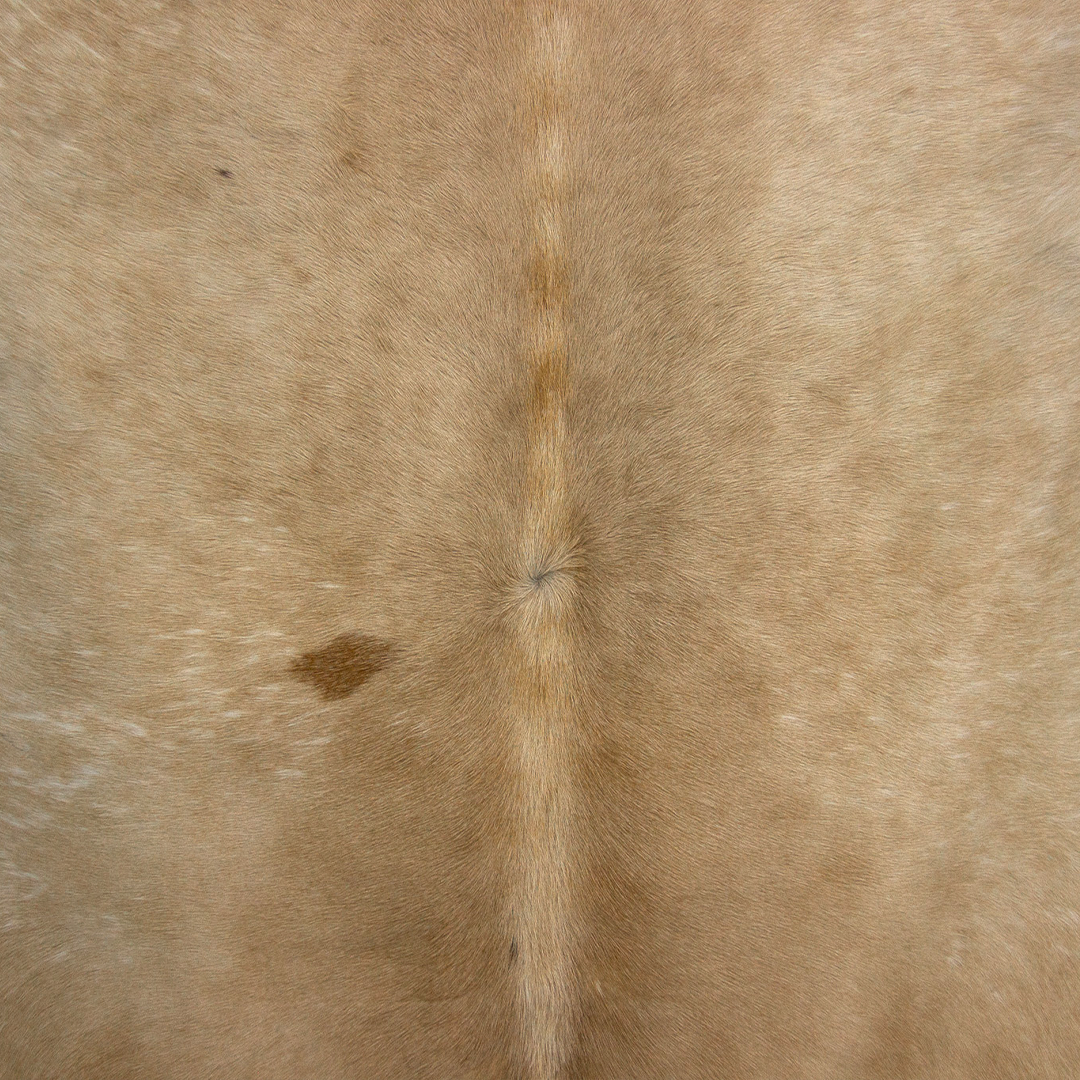 Bege Branco-28