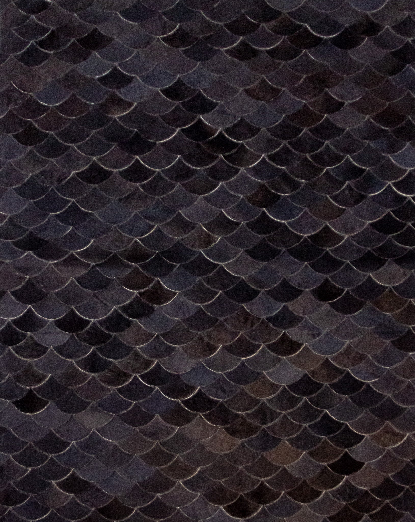 Cetos Preto