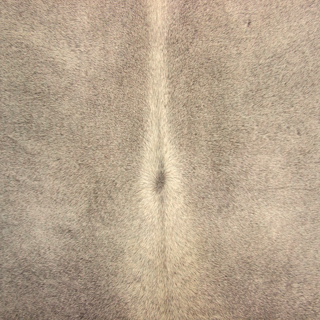 Cinza Tan-25
