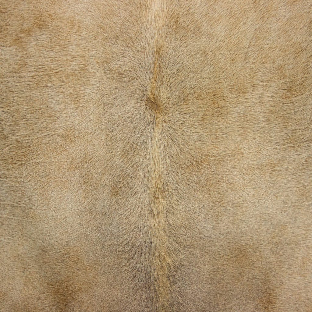 Cinza Tan-40