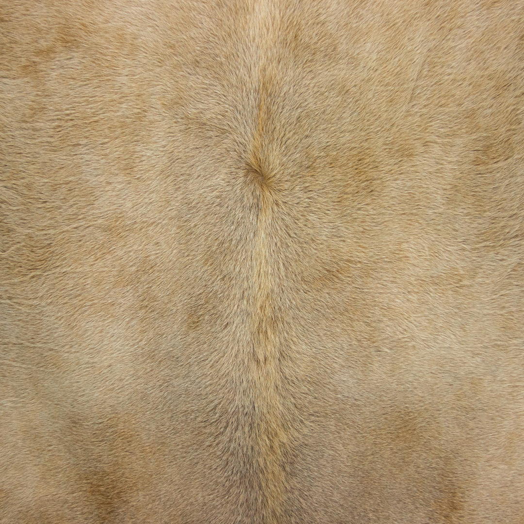 Cinza Tan-40