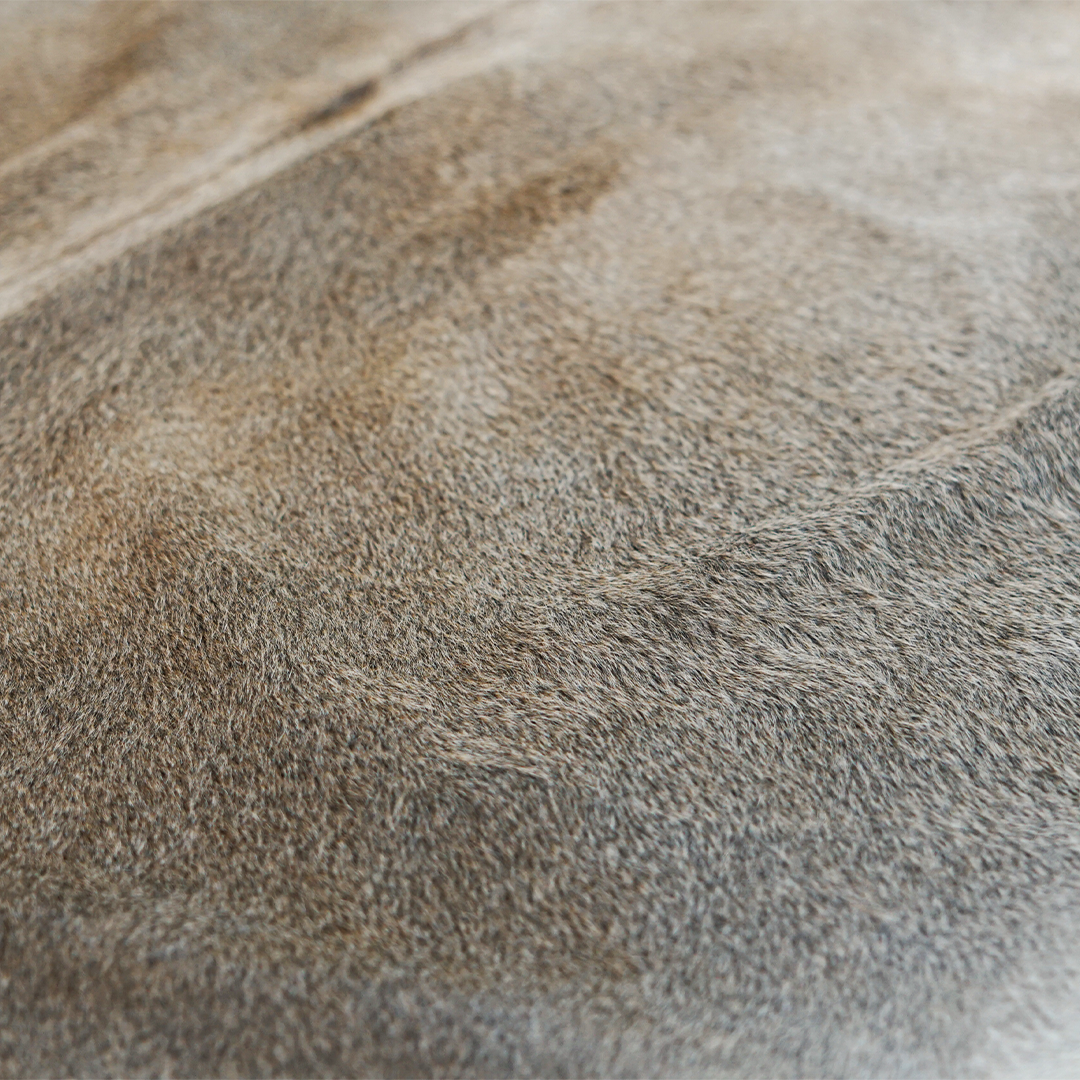 Cinza Gris