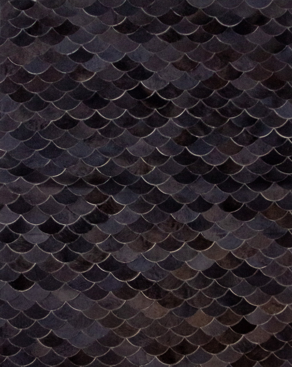 Cetos Preto