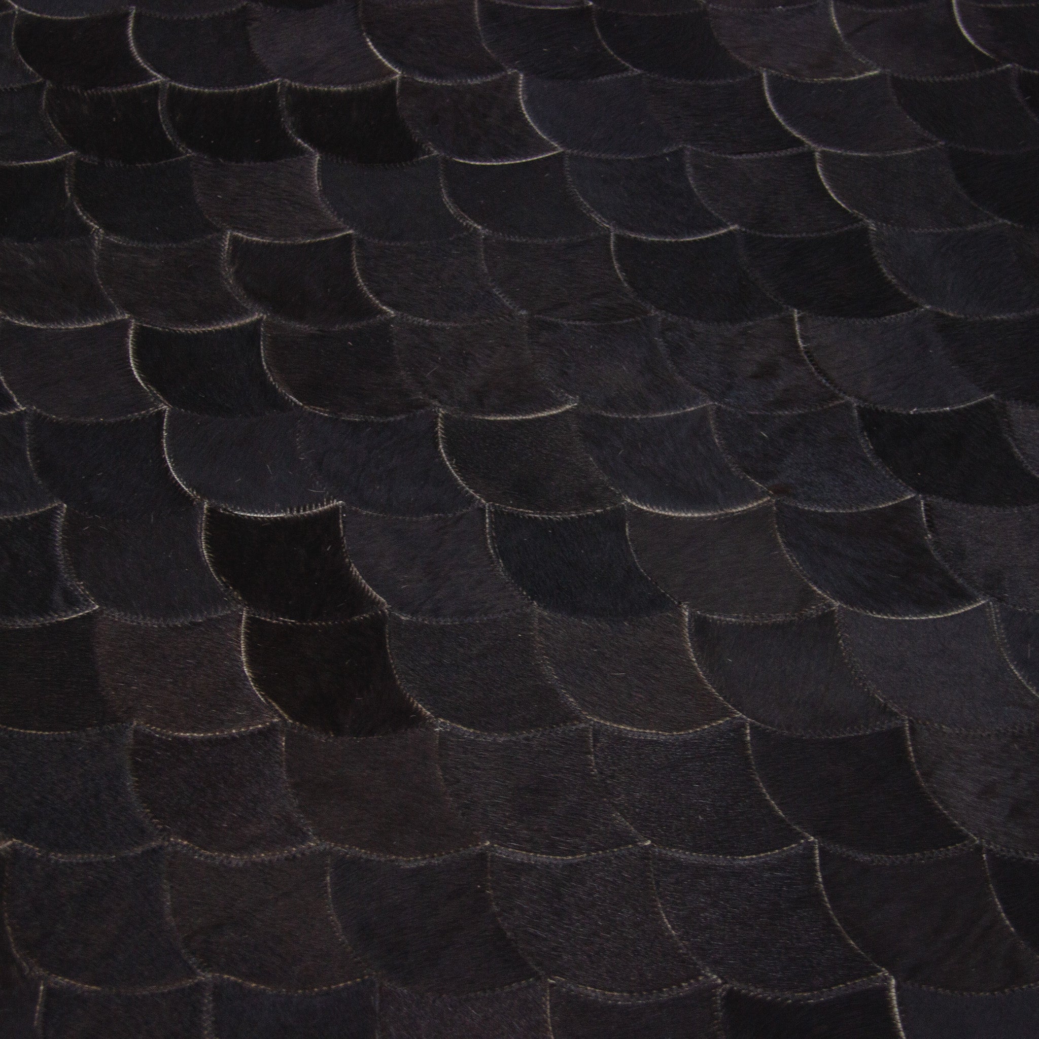 Cetos Preto
