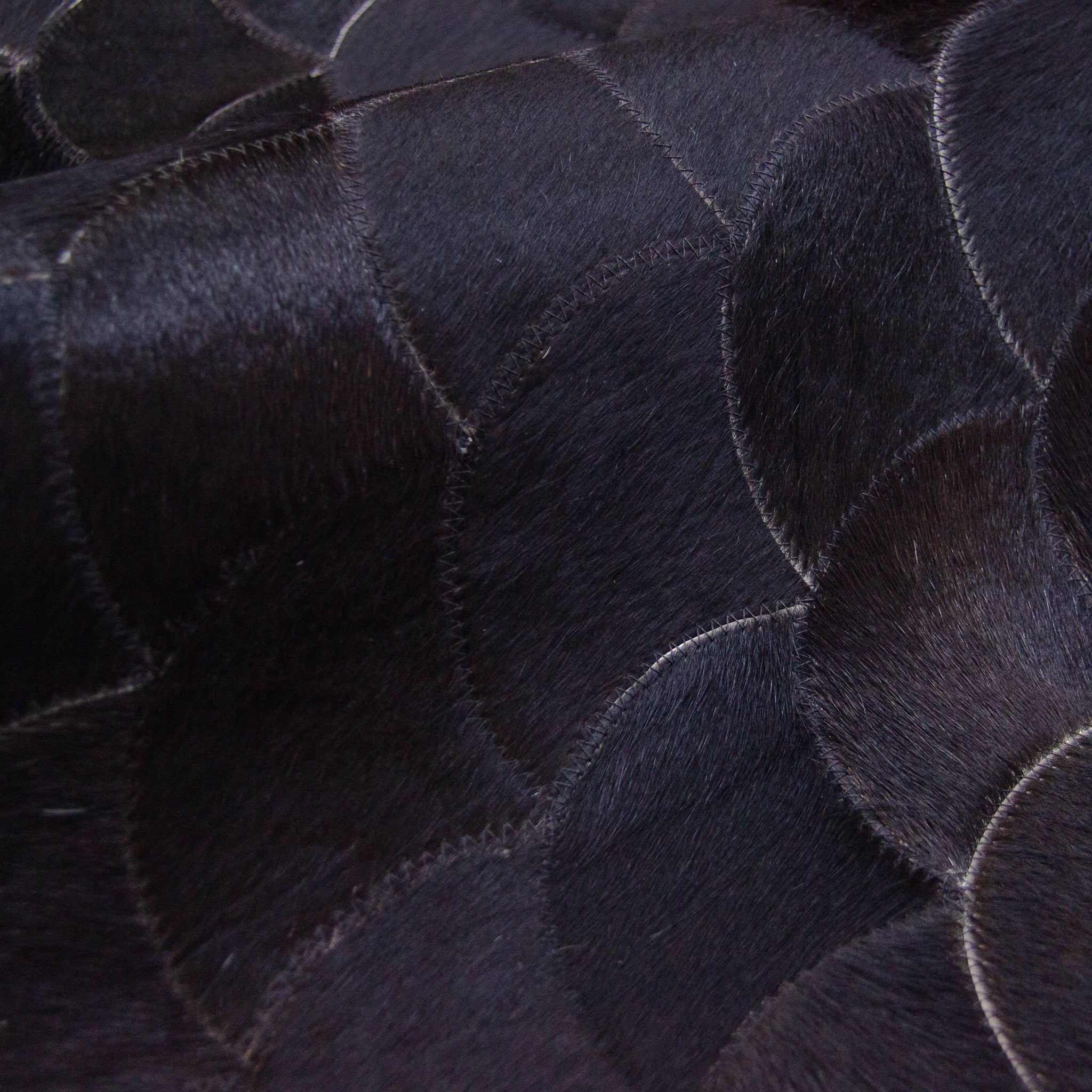 Cetos Preto